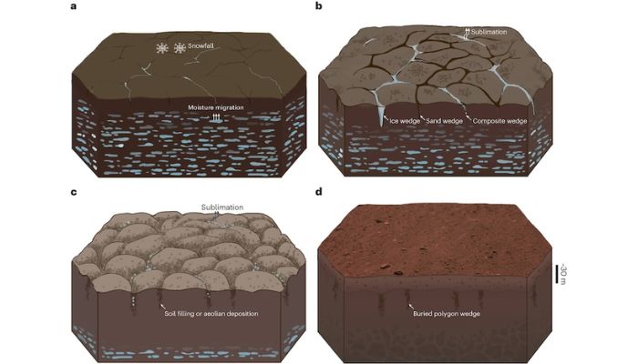 Examples of polygons in soil, in this case on Earth. This diagram illustrates different stages of their formation. — Lei Zhang, et al./ Nature Astronomy