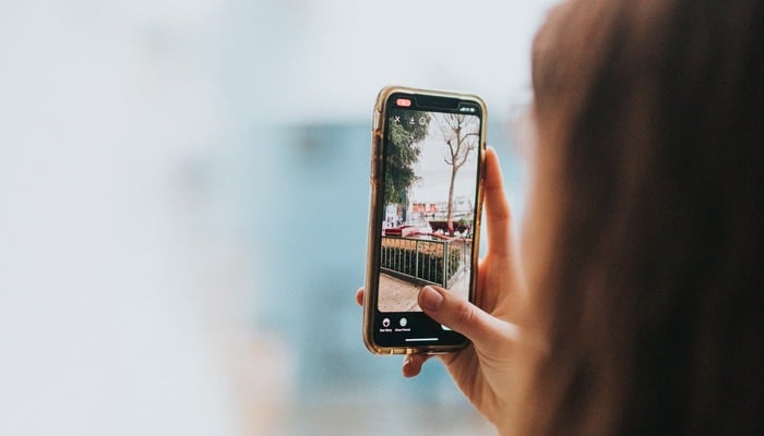 6 ways to unlock the potential of your iPhones Visual Look Up feature