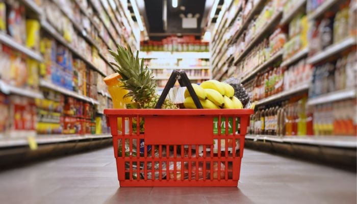 An undated image illustrating a grocery basket. — Canva