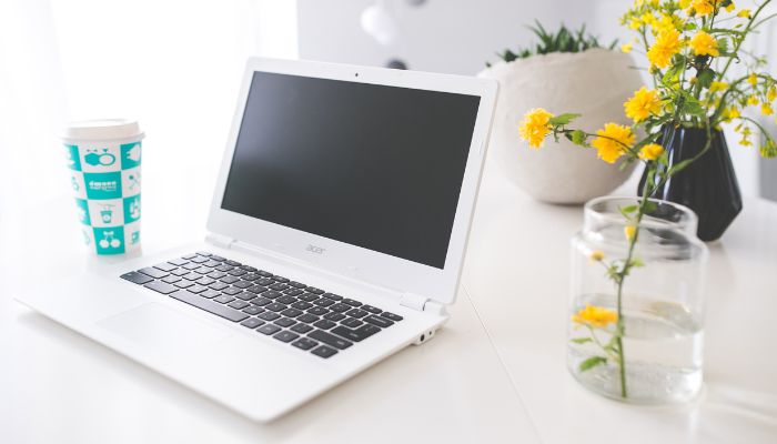 An undated image illustrating a laptop and flowers. — Canva