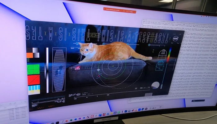 The image shows NASA cat video broadcast from space. — NASA/JPL