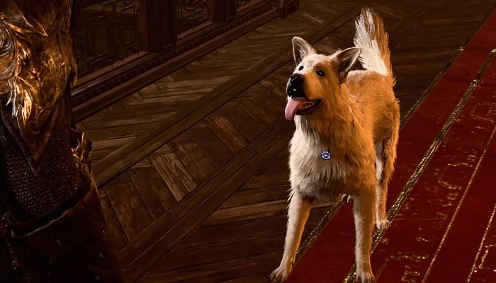 The image shows Scracth the Dog from Baldurs Gate 3. — Larian Studio