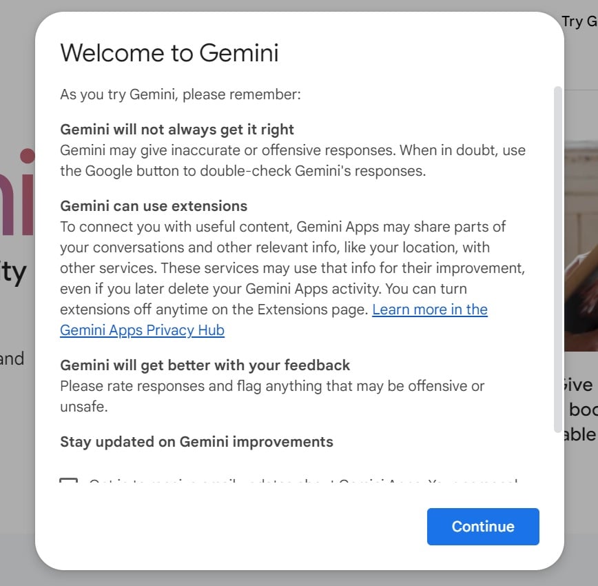 — Gemini