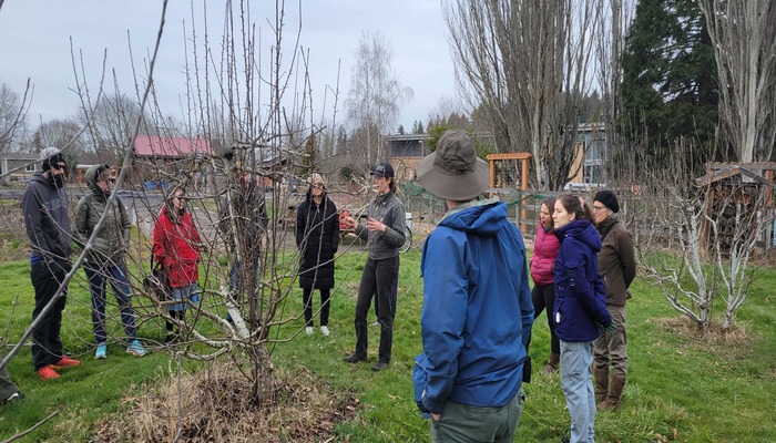 arAn undated image of the Portland Fruit Tree Project. – Poland Fruit Tree Project