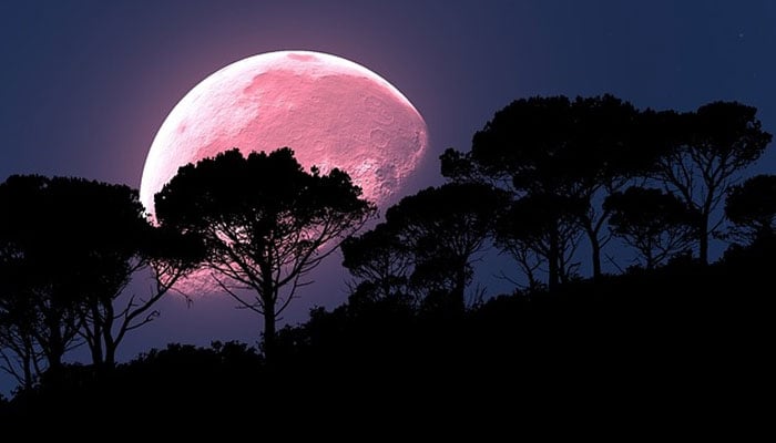 A representational image. — Pixabay