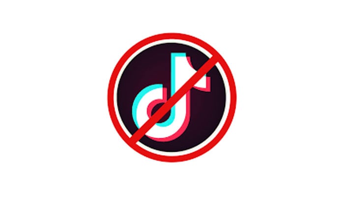 A representational image of TikTok Ban. — Pixabay