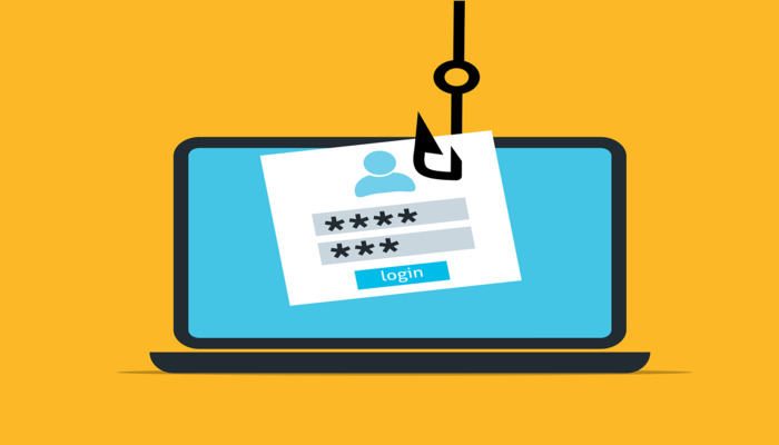 A representational image of data theft. — Pixabay