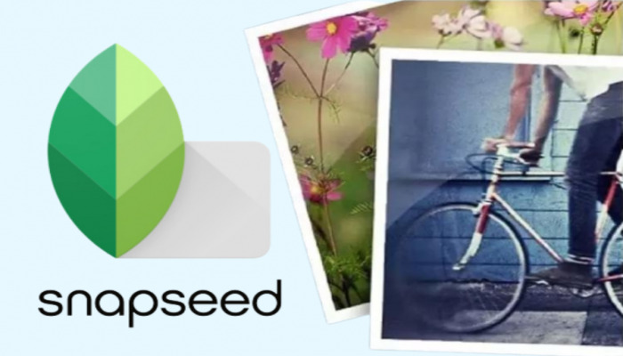 An undated image of Snapseeds poster. — Snapseed