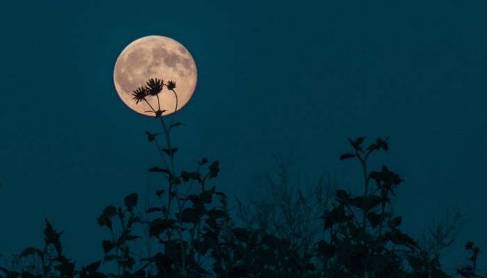 An undated image of Full Moon. — Live Science