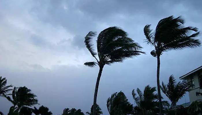 An undatde image of Cyclone. — Unsplash