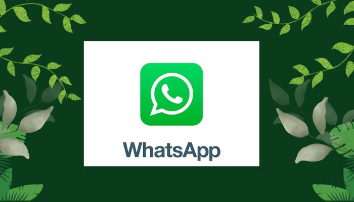An undated image of WhatsApp. — Freepik/Canva