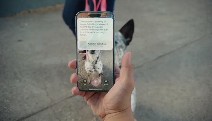 A still image of Live Demo of Visual search held on September 9 at Apple Park in Cupertino. — Screengrab via YouTube Apple channel