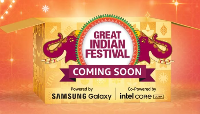 An undated image of Amazon Great Indian Festival 2024 sale poster. — Amazon