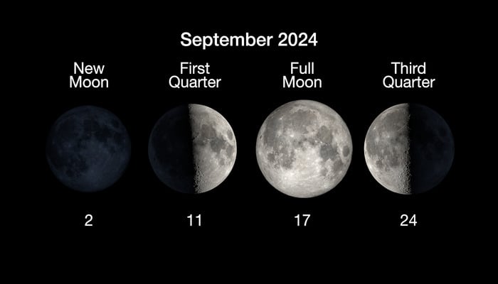 An updated image of phases of the Moon for September 2024. — NASA/JPL