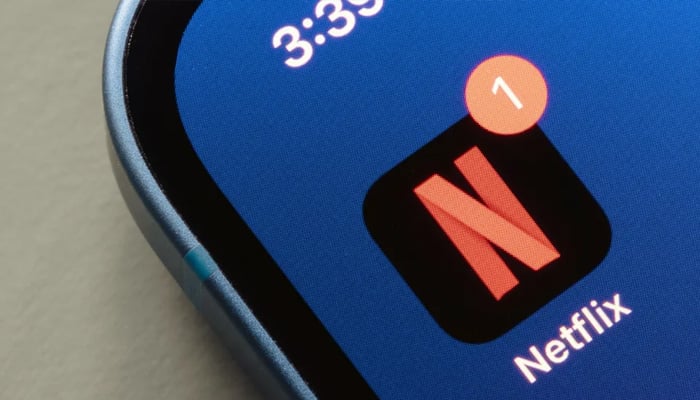 An undated image of Netflix logo. — ShutterStock