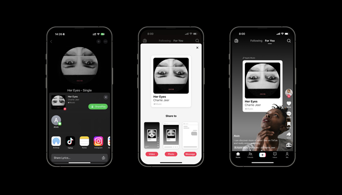 An undated image showing TikToks Sharing to TikTok feature interface. — TikTok