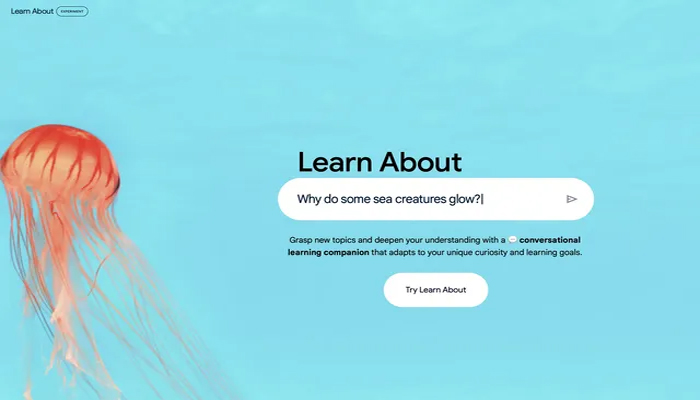 An undated image of Google Learn About tool. — Google