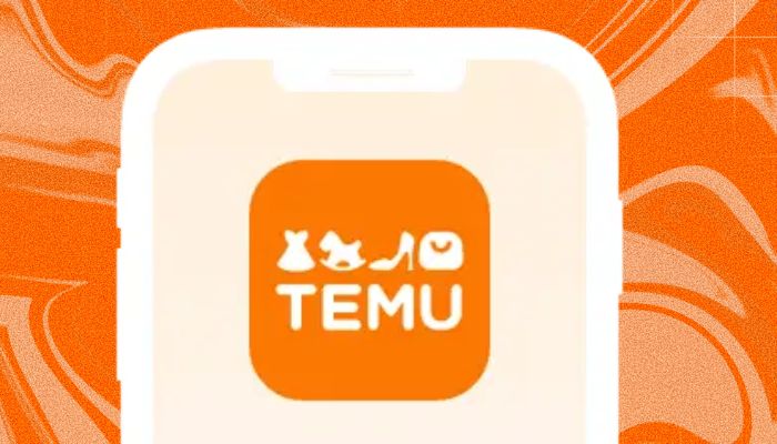 A representational image of the Temu app. — Temu/Canva