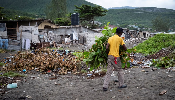 An undated image of a man picking up leaves from Caribbean lands. — Reuters