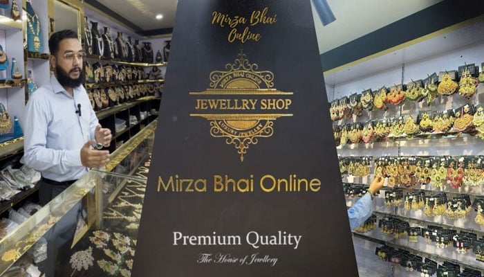 A still image of Mirzabhai Online CEO Ezaan Mirza taken on November 18, 2024 in North Nazimabad. — Canva/Gadinsider