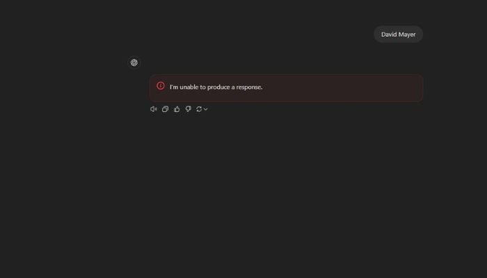 A screenshot of ChatGPTs response to David Mayer prompt.  — Screengrab/ ChatGPT