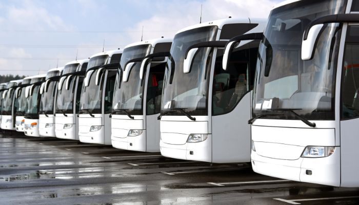 An undated image of electric buses. — Canva