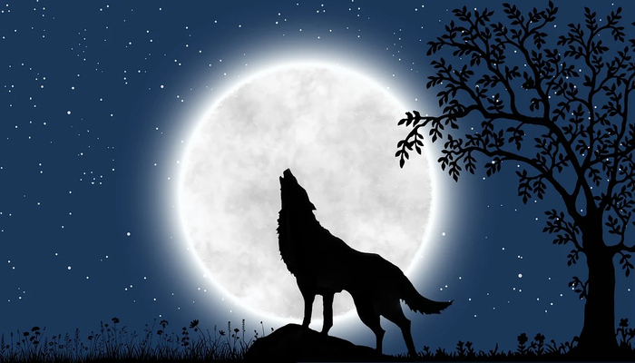 An undated image of Wolf Moon. —Pixabay