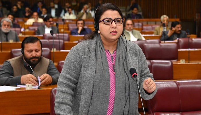 Minister of State for Information Technology and Telecommunication Shaza Fatima Khawaja speaks in the National Assembly in Islamabad on Friday, January 17, 2024. — X/@NAofPakistan