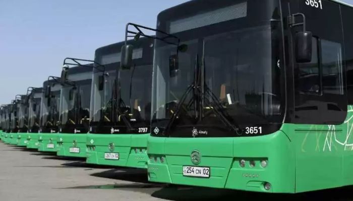 An undated image of electric buses. — APP