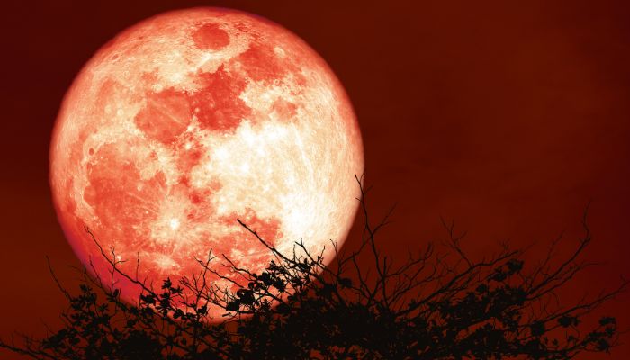 An undated image of moon. — Canva