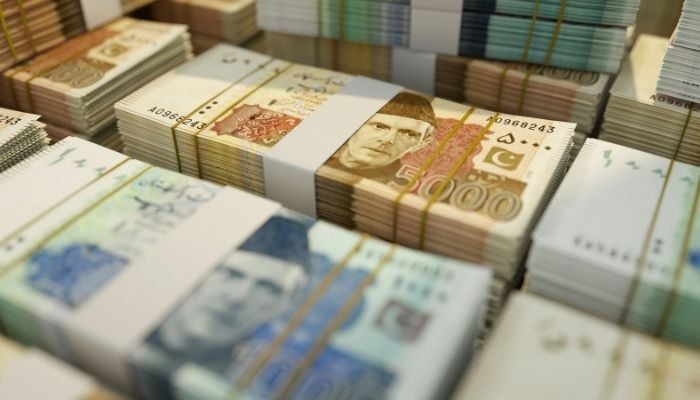 An undated image of Pakistani currency. — Canva