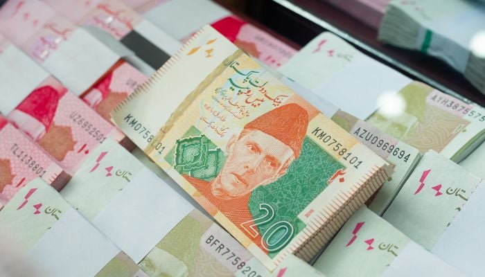 An undated image of Pakistani currency. — Canva