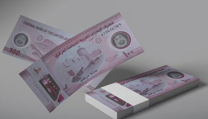 An undated image of UAEs Dh100 polymer banknote. — X/@Khaleejtimes
