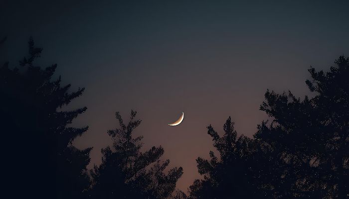 An undated image of the moon. — Canva