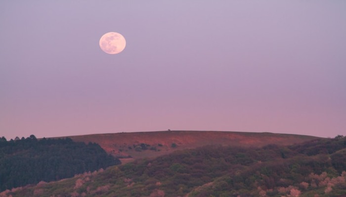 An undated image of Pink Moon. — Unsplash