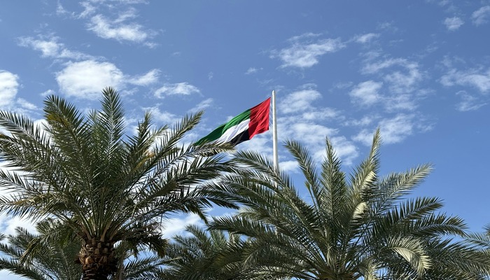 An undated image of UAE flag. — Unsplash