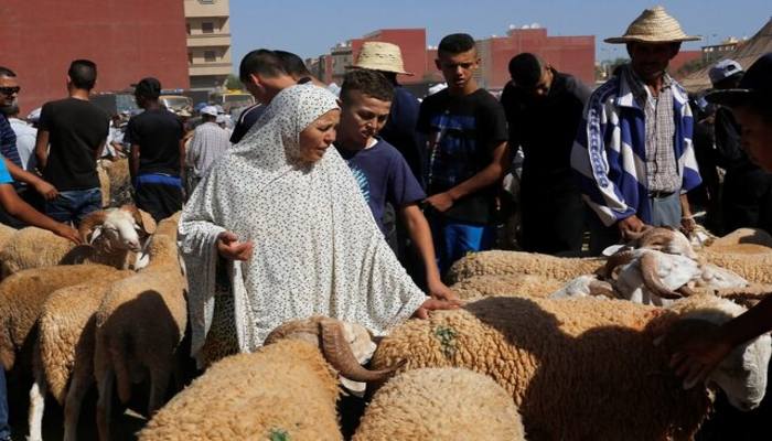 A woman buys a sheep at a livestock market, ahead of the Eid al-Adha festival, in the Moroccan city of Oujda September 11, 2016. — Reuters