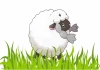 Can Wooloo be shiny in Pokemon Go?