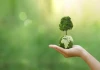 World Earth Day 2024: Date, theme, history, significance, activities to do