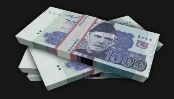 Pakistani rupee against USD to hit Rs302 by June 2026: Topline Securities