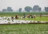 Electricity rates in Pakistan to be reduced for industrial and agricultural sectors Electricity rates in Pakistan to be reduced for industrial and agricultural sectors