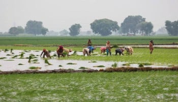 Electricity rates in Pakistan to be reduced for industrial and agricultural sectors Electricity rates in Pakistan to be reduced for industrial and agricultural sectors