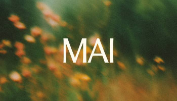 Microsoft's MAI-Image-1 AI image generator now inside Bing, Copilot