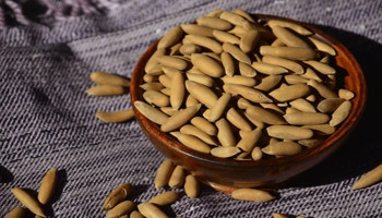 Chilgoza prices drop in Pakistan, reaching Rs3,000 only