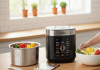 Best affordable rice cookers under $100 in 2026